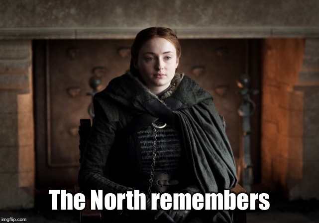 Sansa Stark | The North remembers | image tagged in sansa stark | made w/ Imgflip meme maker