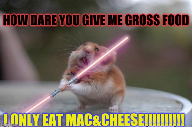 Star Wars hamster | HOW DARE YOU GIVE ME GROSS FOOD; I ONLY EAT MAC&CHEESE!!!!!!!!!! | image tagged in star wars hamster | made w/ Imgflip meme maker