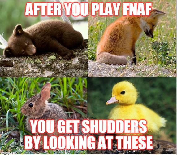 FNAF | AFTER YOU PLAY FNAF; YOU GET SHUDDERS BY LOOKING AT THESE | image tagged in fnaf | made w/ Imgflip meme maker