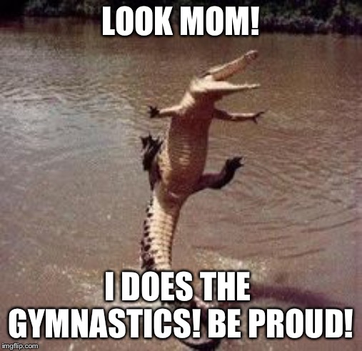 Alligator  | LOOK MOM! I DOES THE  GYMNASTICS! BE PROUD! | image tagged in alligator | made w/ Imgflip meme maker
