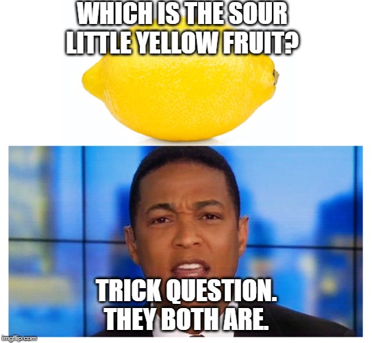 Don Lemon is a lemon. | WHICH IS THE SOUR LITTLE YELLOW FRUIT? TRICK QUESTION. THEY BOTH ARE. | image tagged in memes,hypocrite,racist,bitter,sour | made w/ Imgflip meme maker