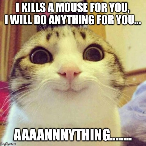 Smiling Cat | I KILLS A MOUSE FOR YOU, I WILL DO ANYTHING FOR YOU... AAAANNNYTHING........ | image tagged in memes,smiling cat | made w/ Imgflip meme maker