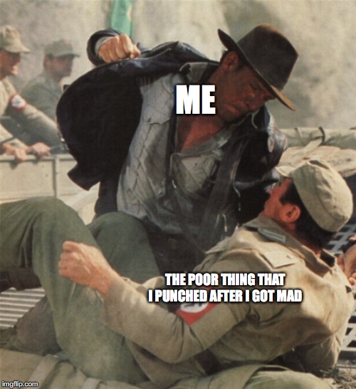 Indiana Jones Punching Nazis | ME; THE POOR THING THAT I PUNCHED AFTER I GOT MAD | image tagged in indiana jones punching nazis | made w/ Imgflip meme maker