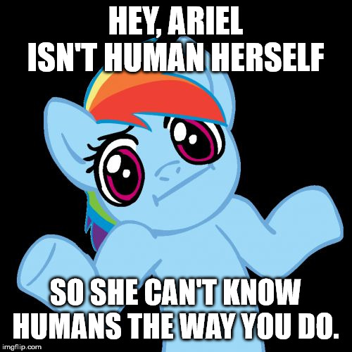 Pony Shrugs Meme | HEY, ARIEL ISN'T HUMAN HERSELF SO SHE CAN'T KNOW HUMANS THE WAY YOU DO. | image tagged in memes,pony shrugs | made w/ Imgflip meme maker