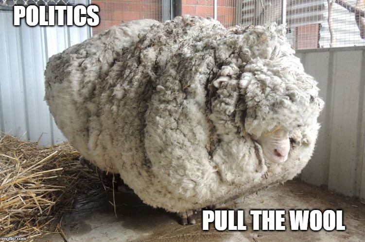 POLITICS PULL THE WOOL | made w/ Imgflip meme maker