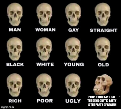 idiot skull | PEOPLE WHO SAY THAT THE DEMOCRATIC PARTY IS THE PARTY OF RACISM | image tagged in idiot skull,racism,republicans,democrats,stupid conservatives | made w/ Imgflip meme maker