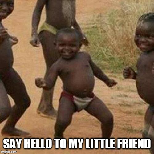 Third World Success Kid | SAY HELLO TO MY LITTLE FRIEND | image tagged in memes,third world success kid | made w/ Imgflip meme maker