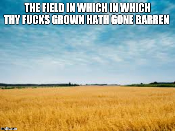 Field of fucks | THE FIELD IN WHICH IN WHICH THY FUCKS GROWN HATH GONE BARREN | image tagged in field,no fucks given,no fucks to give,zero fucks | made w/ Imgflip meme maker