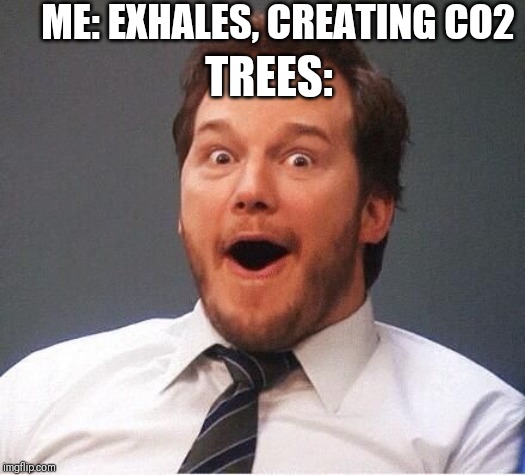 Yup. Breathing saves the environment! |  ME: EXHALES, CREATING CO2; TREES: | image tagged in excited,trees,carbon dioxide,breathing,memes,funny | made w/ Imgflip meme maker
