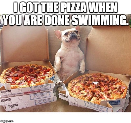 Pizza Dog | I GOT THE PIZZA WHEN YOU ARE DONE SWIMMING. | image tagged in pizza dog | made w/ Imgflip meme maker