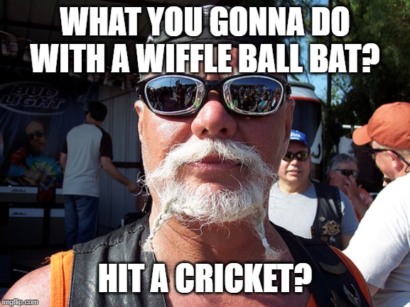 Tough Guy Wanna Be Meme | WHAT YOU GONNA DO WITH A WIFFLE BALL BAT? HIT A CRICKET? | image tagged in memes,tough guy wanna be | made w/ Imgflip meme maker