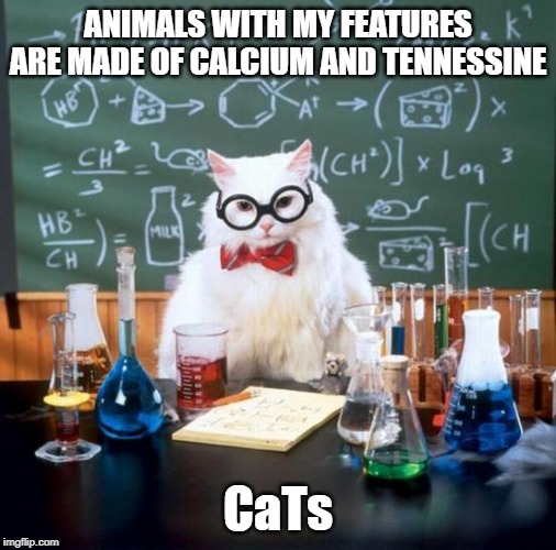 Chemistry Carbon-Astatine | ANIMALS WITH MY FEATURES ARE MADE OF CALCIUM AND TENNESSINE; CaTs | image tagged in memes,chemistry cat | made w/ Imgflip meme maker