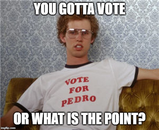 Vote for pedro  | YOU GOTTA VOTE OR WHAT IS THE POINT? | image tagged in vote for pedro | made w/ Imgflip meme maker