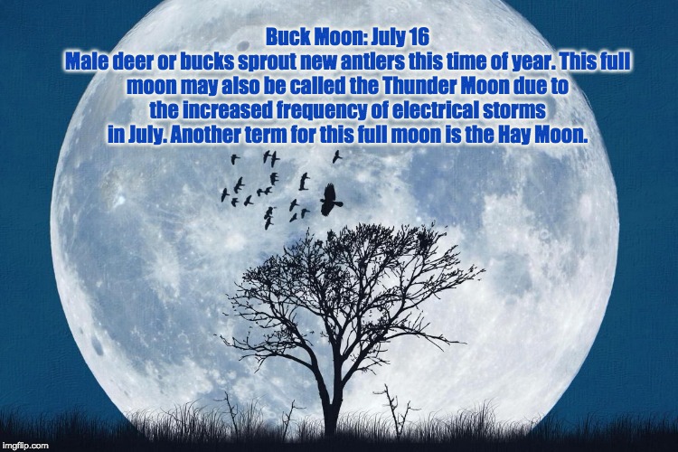  Buck Moon: July 16
Male deer or bucks sprout new antlers this time of year. This full moon may also be called the Thunder Moon due to the increased frequency of electrical storms in July. Another term for this full moon is the Hay Moon. | image tagged in july,buck moon,thunder moon | made w/ Imgflip meme maker