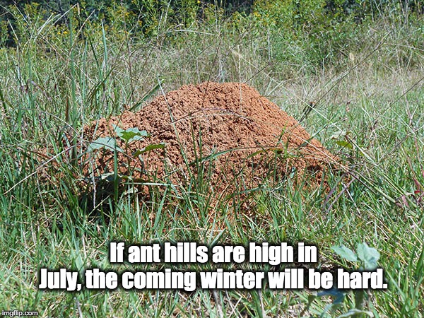 If ant hills are high in July, the coming winter will be hard. | image tagged in ant hills,july sayings | made w/ Imgflip meme maker