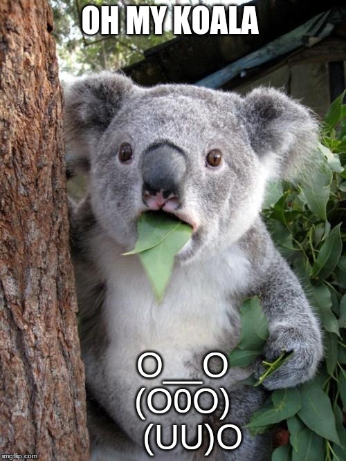 Surprised Koala | OH MY KOALA; O__O   
    (O0O)  
    (UU)O | image tagged in memes,surprised koala | made w/ Imgflip meme maker