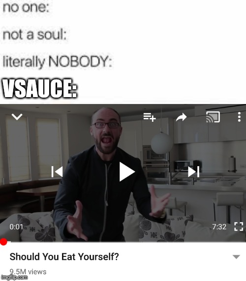 Vsauce has gone too far! | VSAUCE: | image tagged in nobody literally nobody,vsauce,wtf | made w/ Imgflip meme maker