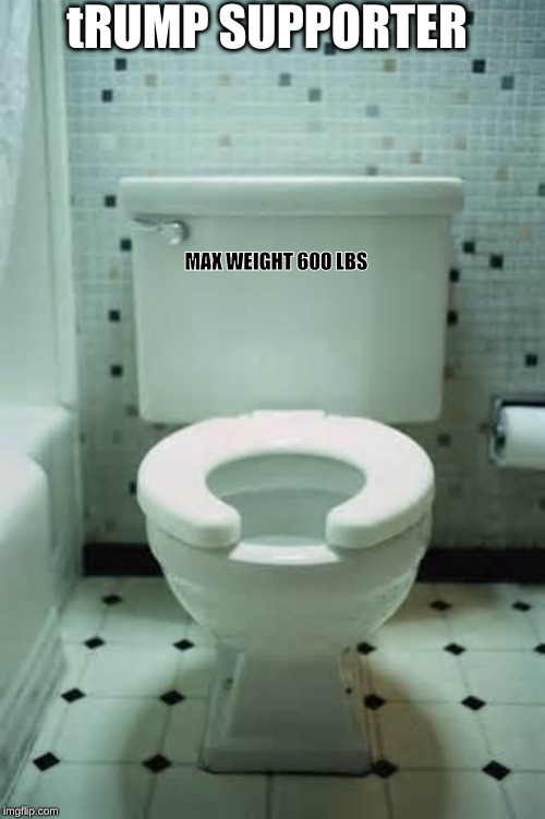 toilet | tRUMP SUPPORTER; MAX WEIGHT 600 LBS | image tagged in toilet | made w/ Imgflip meme maker