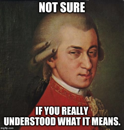 Mozart Not Sure Meme | NOT SURE IF YOU REALLY UNDERSTOOD WHAT IT MEANS. | image tagged in memes,mozart not sure | made w/ Imgflip meme maker