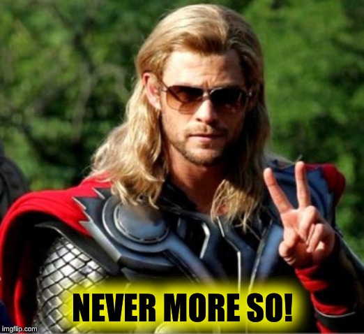 Thor Zueiro | NEVER MORE SO! | image tagged in thor zueiro | made w/ Imgflip meme maker