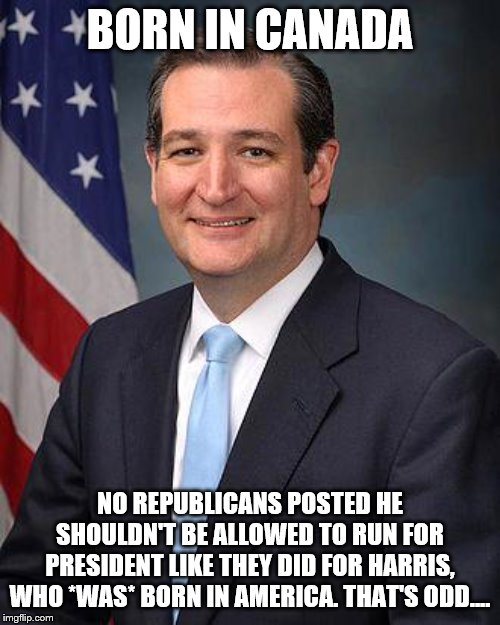 Ted Cruz | BORN IN CANADA; NO REPUBLICANS POSTED HE SHOULDN'T BE ALLOWED TO RUN FOR PRESIDENT LIKE THEY DID FOR HARRIS, WHO *WAS* BORN IN AMERICA. THAT'S ODD.... | image tagged in ted cruz | made w/ Imgflip meme maker