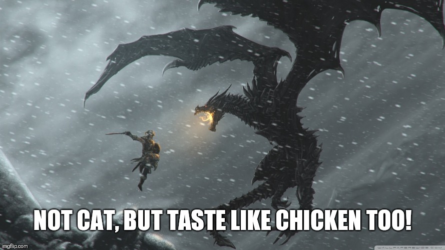 Skyrim Dragon Fight | NOT CAT, BUT TASTE LIKE CHICKEN TOO! | image tagged in skyrim dragon fight | made w/ Imgflip meme maker