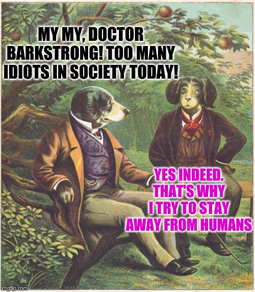 Dogs Talking | MY MY, DOCTOR BARKSTRONG! TOO MANY IDIOTS IN SOCIETY TODAY! YES INDEED. THAT'S WHY I TRY TO STAY AWAY FROM HUMANS | image tagged in dogs talking | made w/ Imgflip meme maker