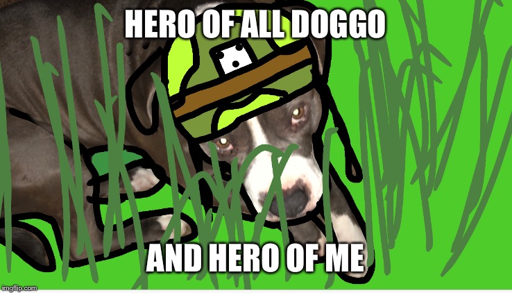 War doggo | HERO OF ALL DOGGO; AND HERO OF ME | image tagged in war doggo | made w/ Imgflip meme maker