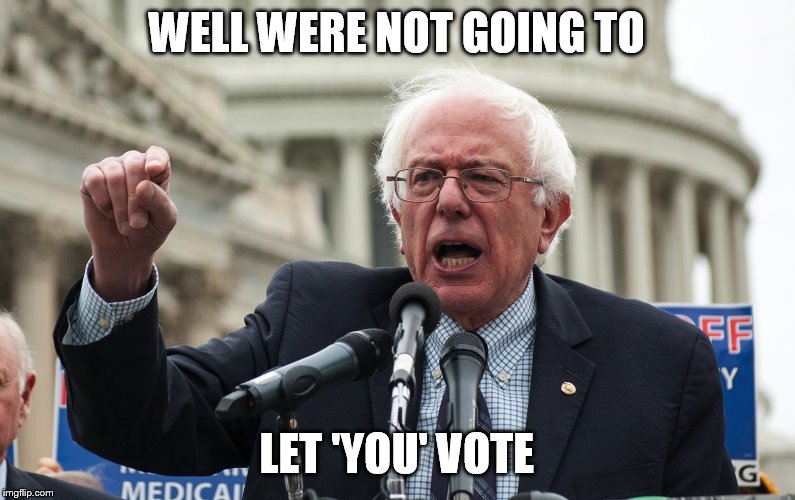 Bernie Sanders | WELL WERE NOT GOING TO LET 'YOU' VOTE | image tagged in bernie sanders | made w/ Imgflip meme maker