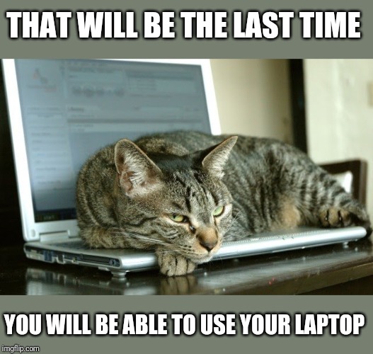 THAT WILL BE THE LAST TIME YOU WILL BE ABLE TO USE YOUR LAPTOP | made w/ Imgflip meme maker