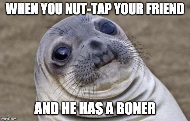 Awkward Moment Sealion Meme | WHEN YOU NUT-TAP YOUR FRIEND; AND HE HAS A BONER | image tagged in memes,awkward moment sealion | made w/ Imgflip meme maker