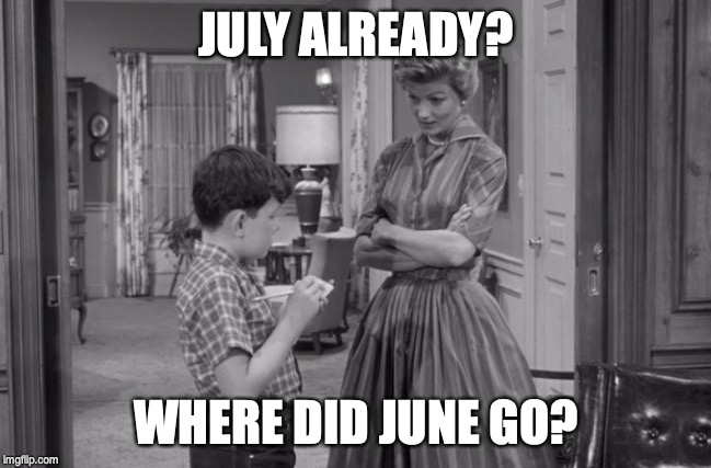 Where did June go | JULY ALREADY? WHERE DID JUNE GO? | image tagged in 4th of july | made w/ Imgflip meme maker