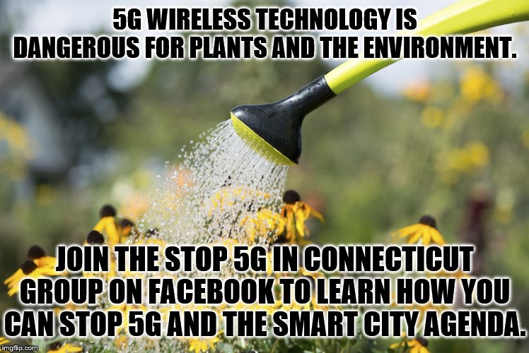 Image tagged in watering plants Imgflip