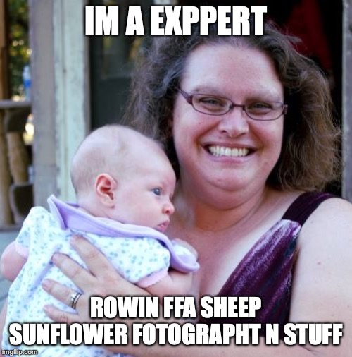 taco | IM A EXPPERT; ROWIN FFA SHEEP SUNFLOWER FOTOGRAPHT N STUFF | image tagged in tasy | made w/ Imgflip meme maker