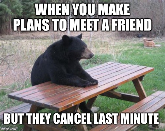 Bad Luck Bear Meme | WHEN YOU MAKE PLANS TO MEET A FRIEND; BUT THEY CANCEL LAST MINUTE | image tagged in memes,bad luck bear | made w/ Imgflip meme maker