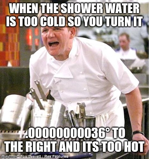 Chef Gordon Ramsay Meme | WHEN THE SHOWER WATER IS TOO COLD SO YOU TURN IT; .00000000036° TO THE RIGHT AND ITS TOO HOT | image tagged in memes,chef gordon ramsay | made w/ Imgflip meme maker