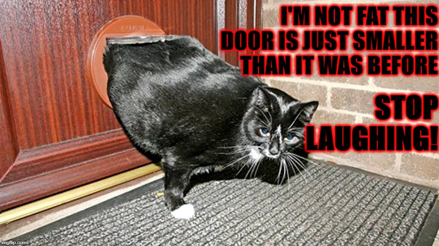 FAT SLOB | I'M NOT FAT THIS DOOR IS JUST SMALLER THAN IT WAS BEFORE; STOP LAUGHING! | image tagged in fat slob | made w/ Imgflip meme maker