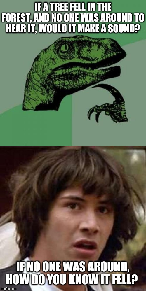 Gotcha There | IF A TREE FELL IN THE FOREST, AND NO ONE WAS AROUND TO HEAR IT, WOULD IT MAKE A SOUND? IF NO ONE WAS AROUND, HOW DO YOU KNOW IT FELL? | image tagged in memes,philosoraptor,conspiracy keanu,philosophy | made w/ Imgflip meme maker