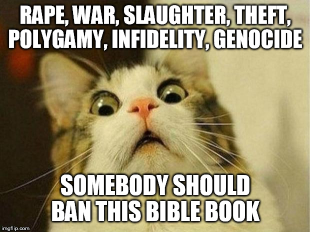 Scared Cat Meme | RAPE, WAR, SLAUGHTER, THEFT, POLYGAMY, INFIDELITY, GENOCIDE SOMEBODY SHOULD BAN THIS BIBLE BOOK | image tagged in memes,scared cat | made w/ Imgflip meme maker