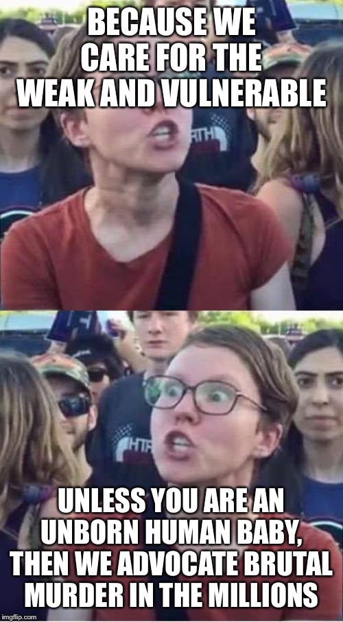 Angry Liberal Hypocrite | BECAUSE WE CARE FOR THE WEAK AND VULNERABLE; UNLESS YOU ARE AN UNBORN HUMAN BABY, THEN WE ADVOCATE BRUTAL MURDER IN THE MILLIONS | image tagged in angry liberal hypocrite | made w/ Imgflip meme maker