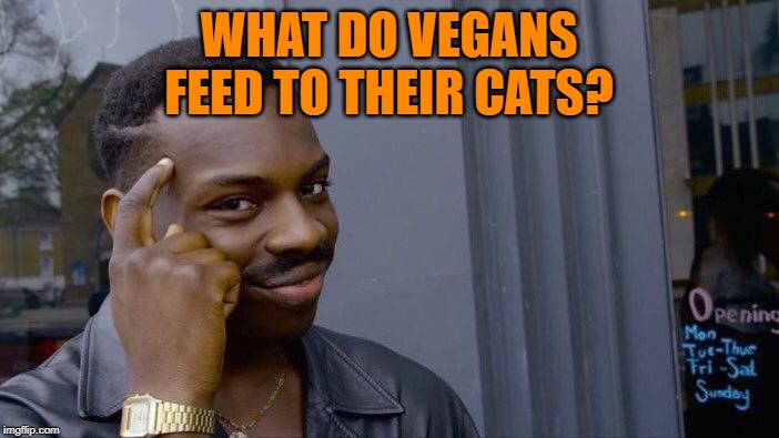 Roll Safe Think About It Meme | WHAT DO VEGANS FEED TO THEIR CATS? | image tagged in memes,roll safe think about it | made w/ Imgflip meme maker