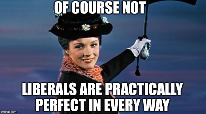 Mary Poppins | OF COURSE NOT LIBERALS ARE PRACTICALLY PERFECT IN EVERY WAY | image tagged in mary poppins | made w/ Imgflip meme maker