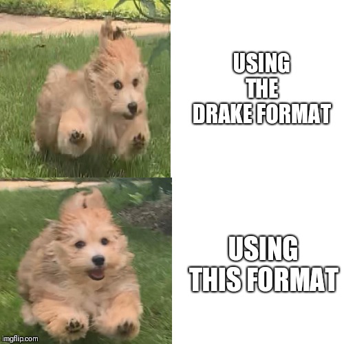 Drake Blank | USING THE DRAKE FORMAT; USING THIS FORMAT | image tagged in drake blank | made w/ Imgflip meme maker