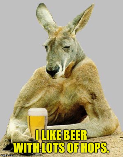 Kangaroo Style | I LIKE BEER WITH LOTS OF HOPS. | image tagged in shut up and have a beer | made w/ Imgflip meme maker