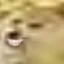 High Quality Smiling doge Blank Meme Template