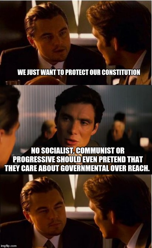 You only fool yourself | WE JUST WANT TO PROTECT OUR CONSTITUTION; NO SOCIALIST, COMMUNIST OR PROGRESSIVE SHOULD EVEN PRETEND THAT THEY CARE ABOUT GOVERNMENTAL OVER REACH. | image tagged in memes,inception,communist,socialist,progressive,patriot | made w/ Imgflip meme maker