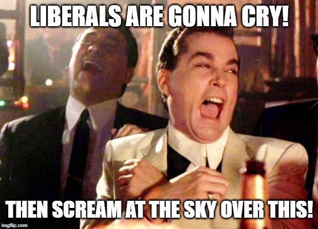 Goodfellas Laugh | LIBERALS ARE GONNA CRY! THEN SCREAM AT THE SKY OVER THIS! | image tagged in goodfellas laugh | made w/ Imgflip meme maker