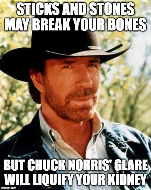 Ouch that Would Suck | STICKS AND STONES MAY BREAK YOUR BONES; BUT CHUCK NORRIS' GLARE WILL LIQUIFY YOUR KIDNEY | image tagged in memes,chuck norris | made w/ Imgflip meme maker