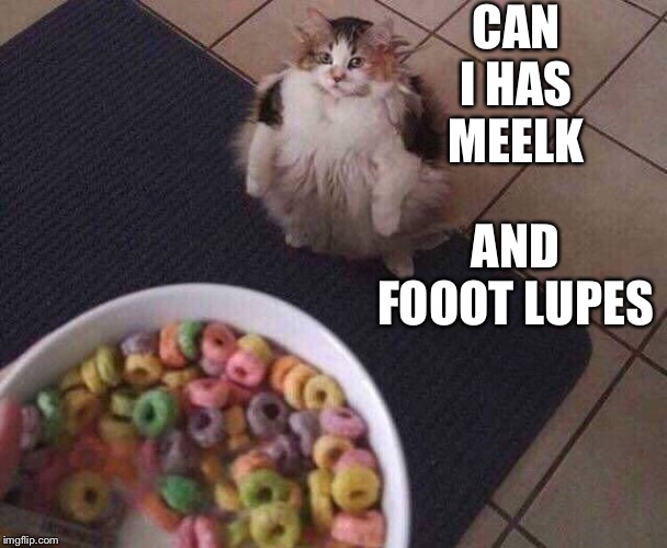 Fruit Loops | CAN I HAS  MEELK; AND FOOOT LUPES | image tagged in fruit loops | made w/ Imgflip meme maker