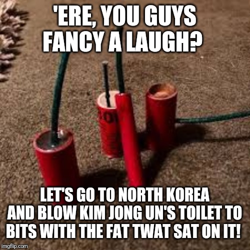 Firecracker | 'ERE, YOU GUYS FANCY A LAUGH? LET'S GO TO NORTH KOREA AND BLOW KIM JONG UN'S TOILET TO BITS WITH THE FAT TWAT SAT ON IT! | image tagged in firecracker | made w/ Imgflip meme maker
